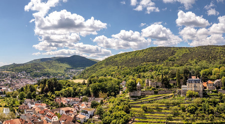 Panoramablick auf Neustadt an der Weinstraße