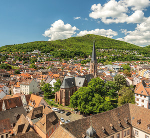 Blick auf Neustadt an der Weinstraße