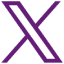 X Icon